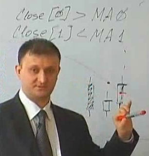 Стрижанов В. - Основы программирования механических торговых систем (видео-курс)